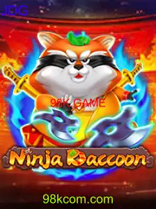 NinjaRaccoon